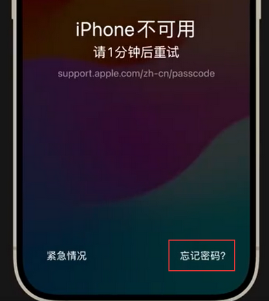 渑池苹果手机密码维修分享iPhone忘记了刚设置的密码 