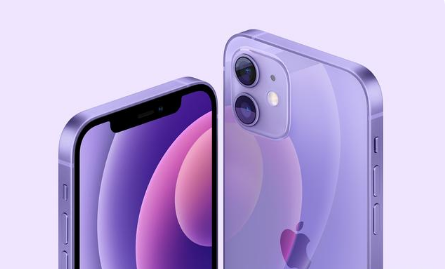 渑池苹果手机维修分享紫色版iPhone 12有什么技术亮点 